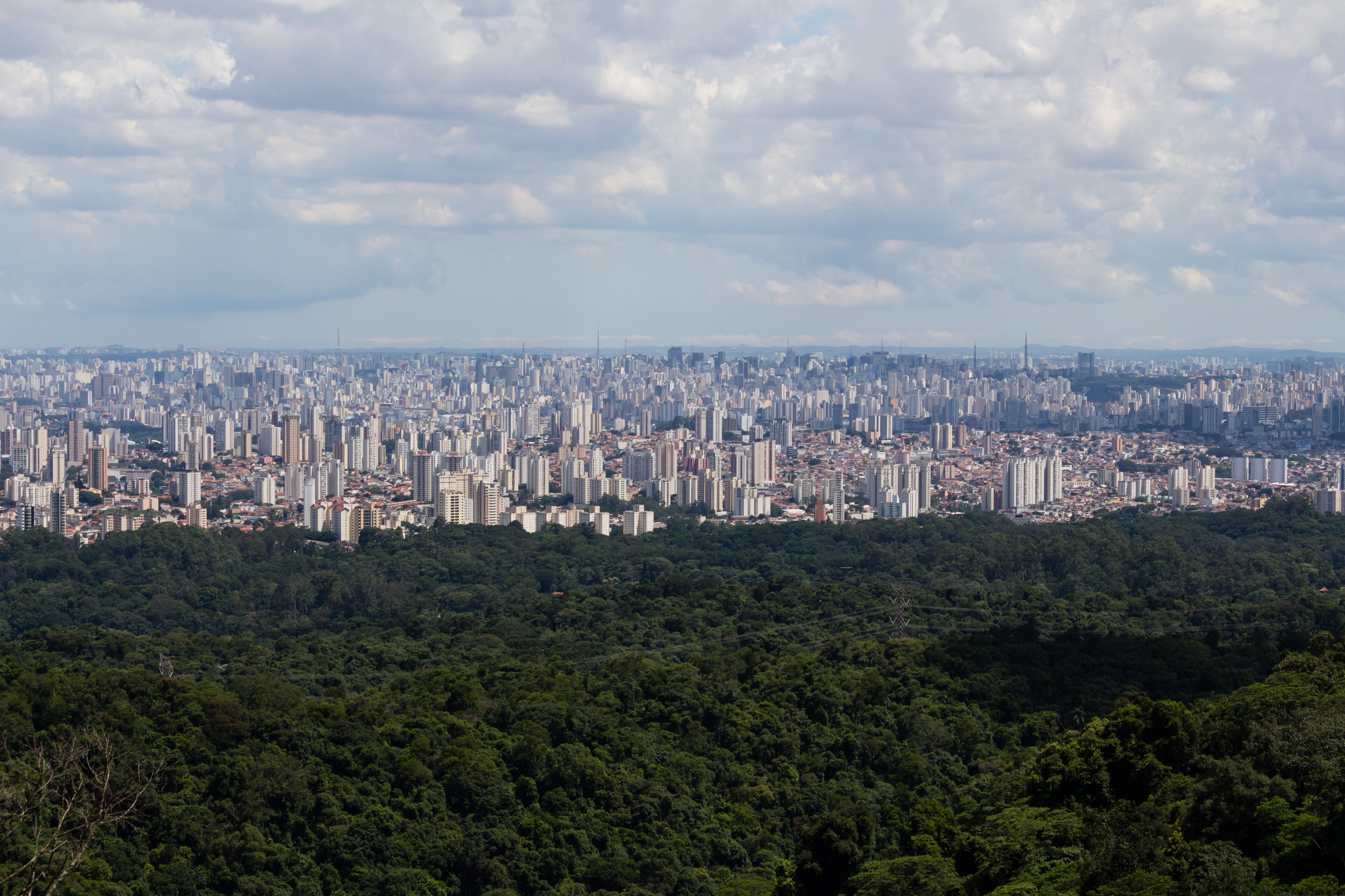 A cityscape with dense high-rise buildings and a forested area in the foreground.
