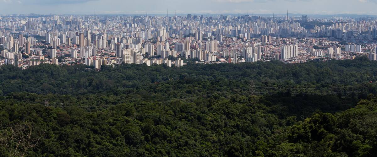 A cityscape with dense high-rise buildings and a forested area in the foreground.
