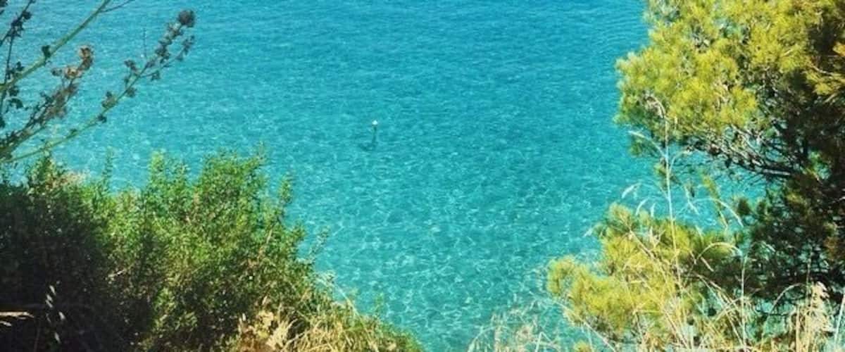 A coastal view with clear turquoise waters, rocky outcrops, and green vegetation.