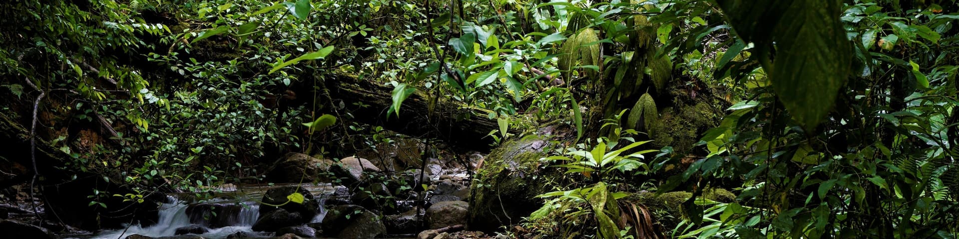 Beautiful stream and small waterfall in Las Quebradas
