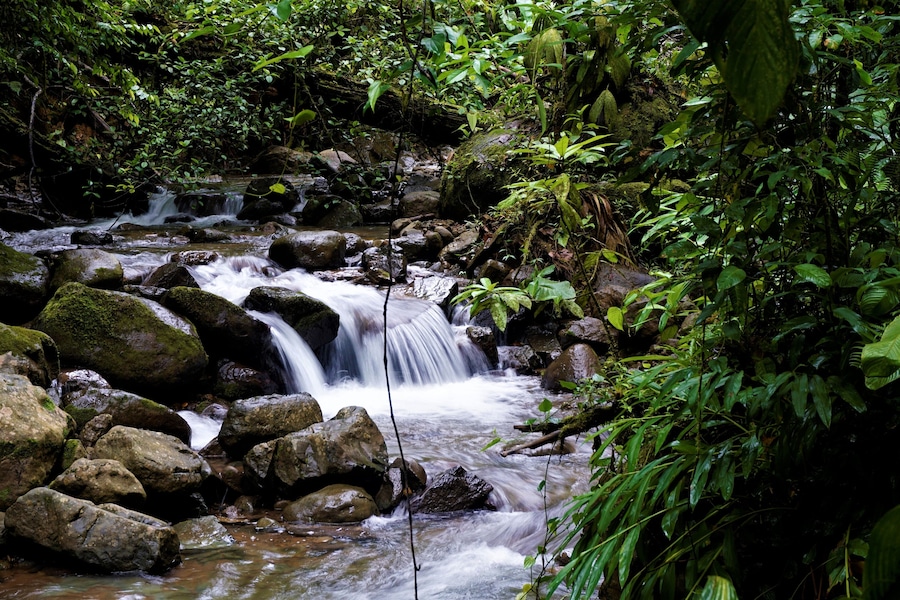 Beautiful stream and small waterfall in Las Quebradas