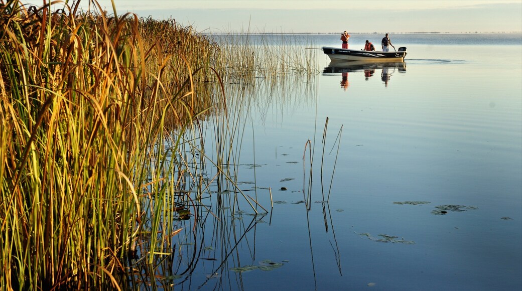 Corrientes featuring landscape views, wetlands and boating