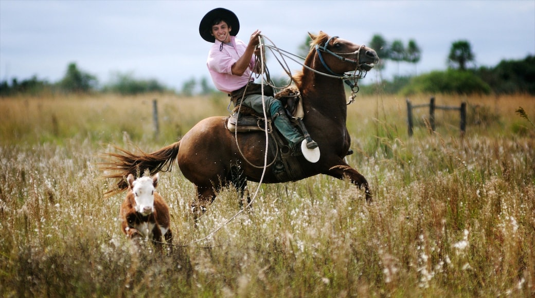 Corrientes which includes farmland, land animals and horse riding