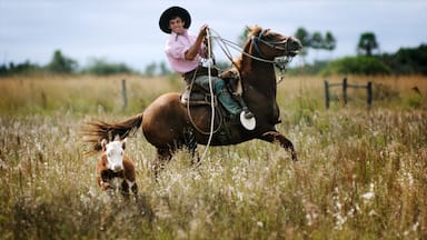 Corrientes which includes farmland, horse riding and land animals