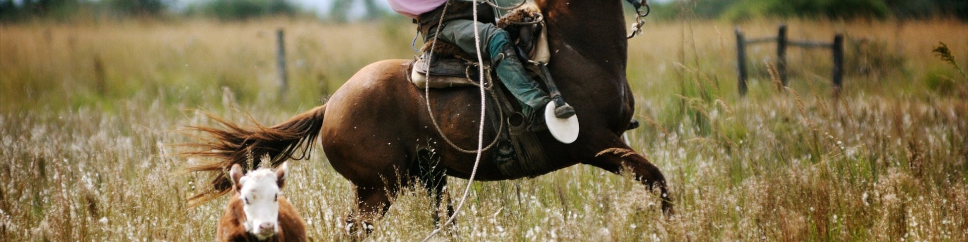 Corrientes which includes land animals, farmland and horseriding
