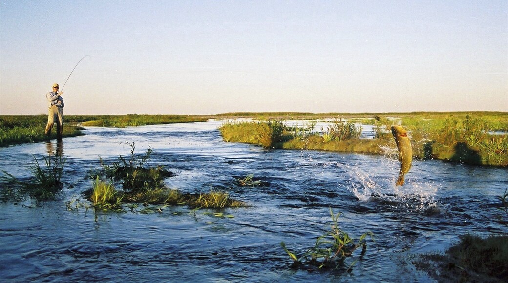 Corrientes que incluye vistas de paisajes, un río o arroyo y vida marina