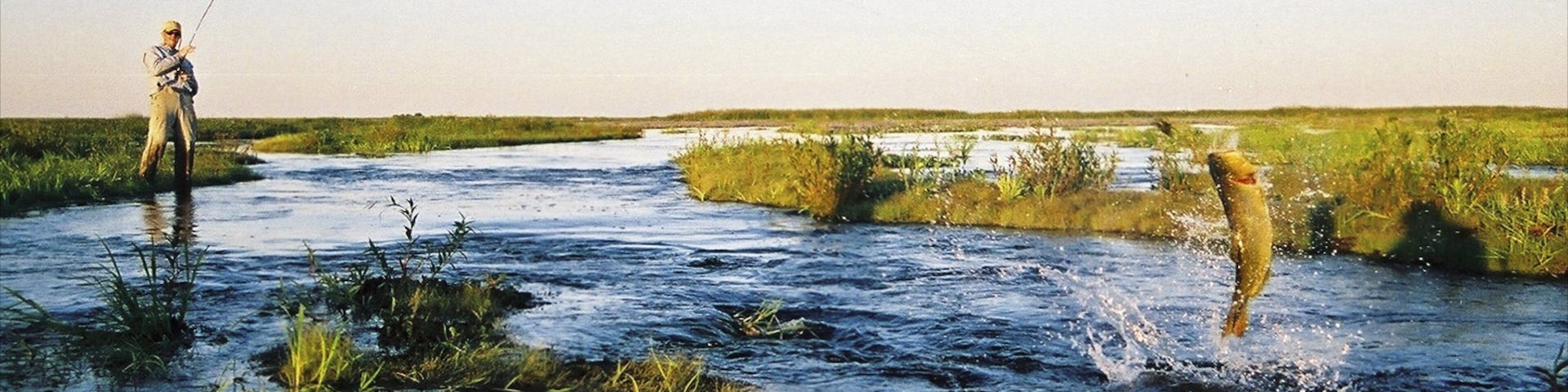 Corrientes featuring a river or creek, fishing and landscape views