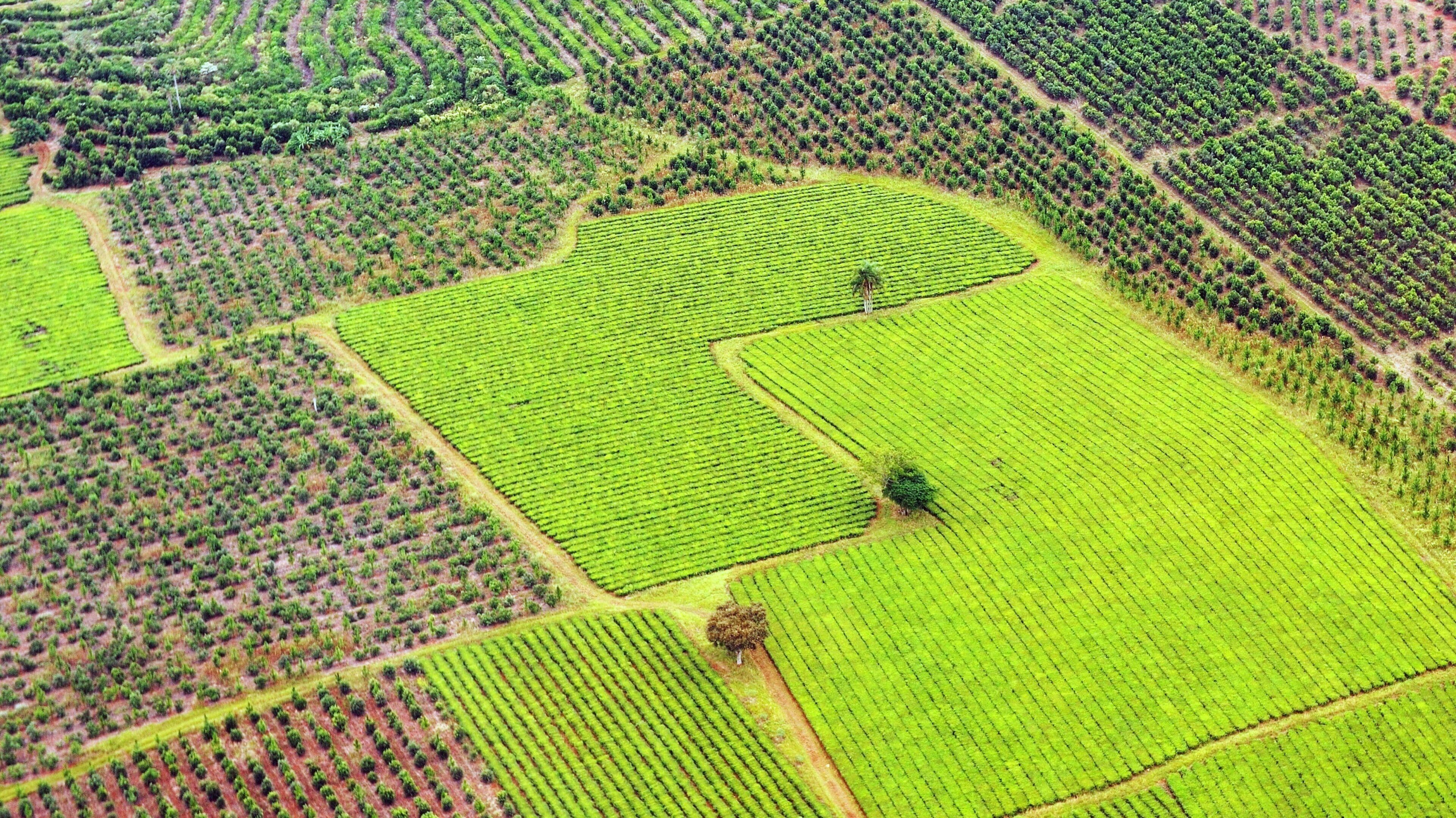 Département Capital