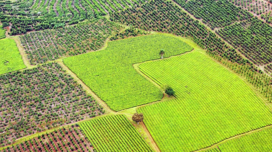 Département Capital