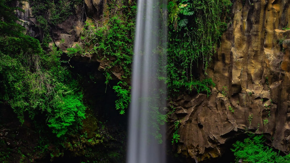 Salto de la princesa