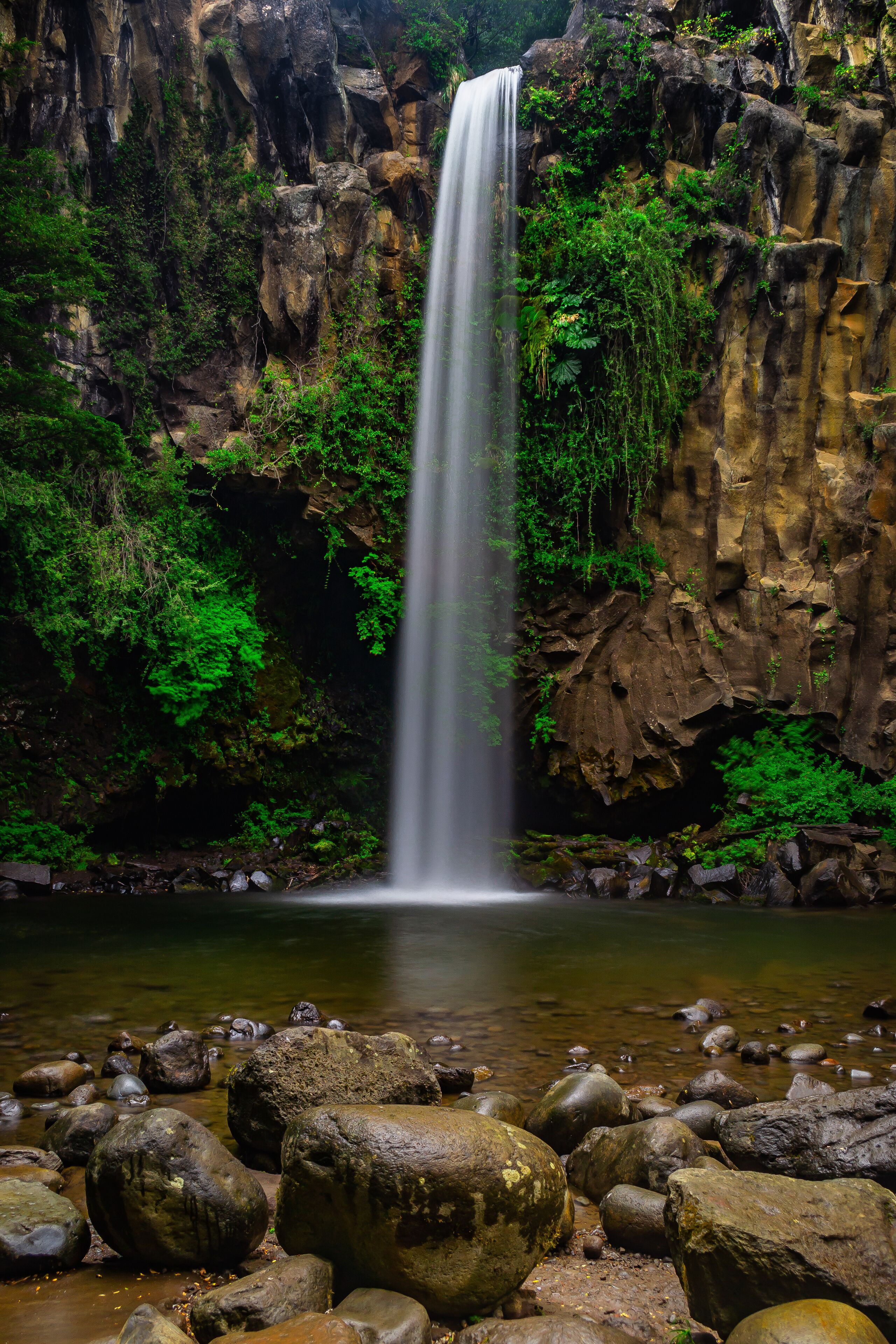 A waterfall cascading down a rocky cliff surrounded by lush greenery.