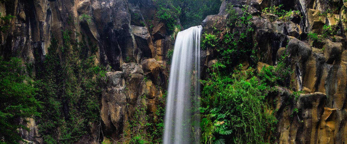 A waterfall cascading down a rocky cliff surrounded by lush greenery.