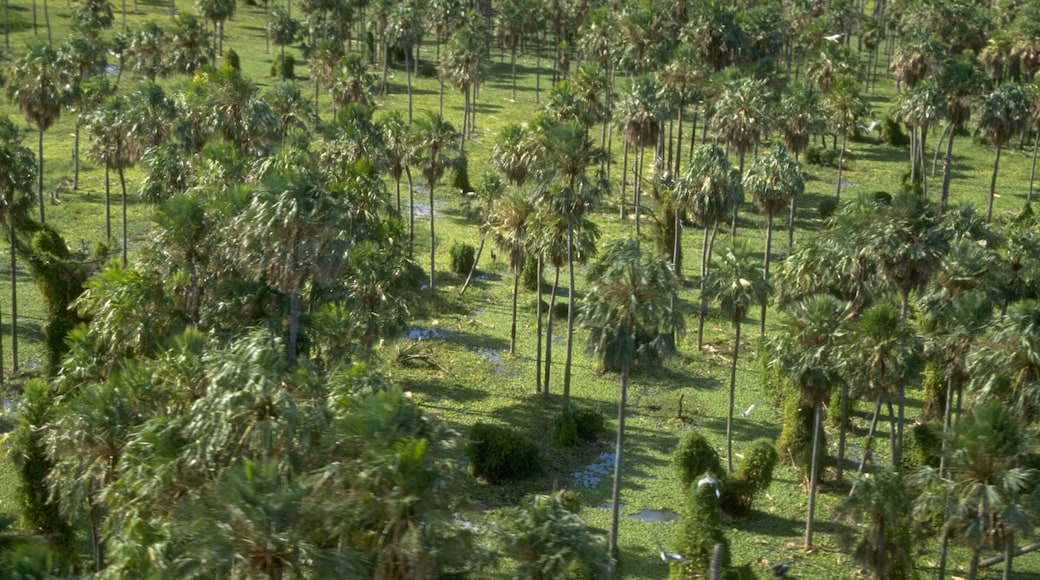 Formosa featuring tranquil scenes