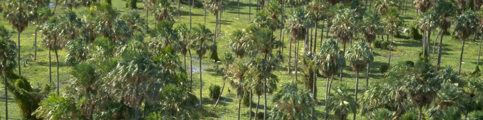 Formosa featuring tranquil scenes