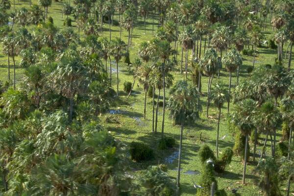 Formosa showing tranquil scenes