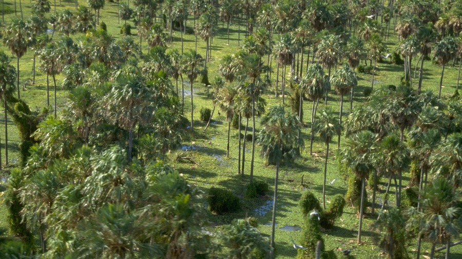 Formosa featuring tranquil scenes