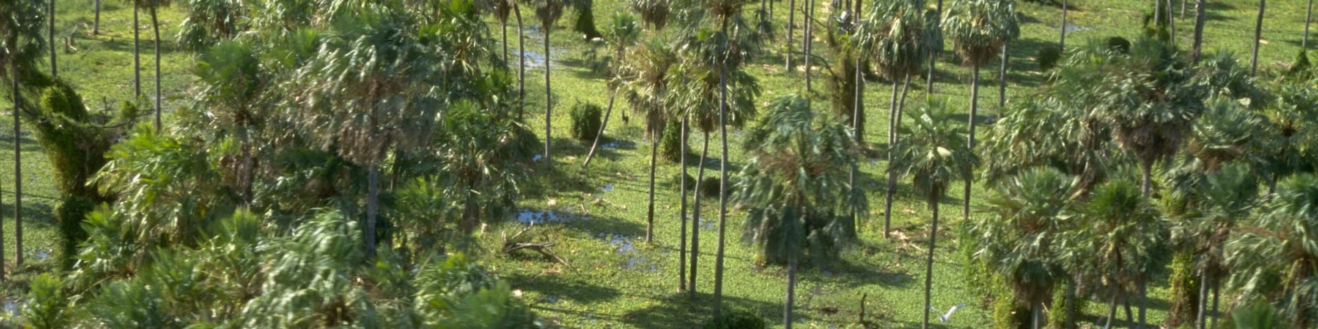 Formosa featuring tranquil scenes