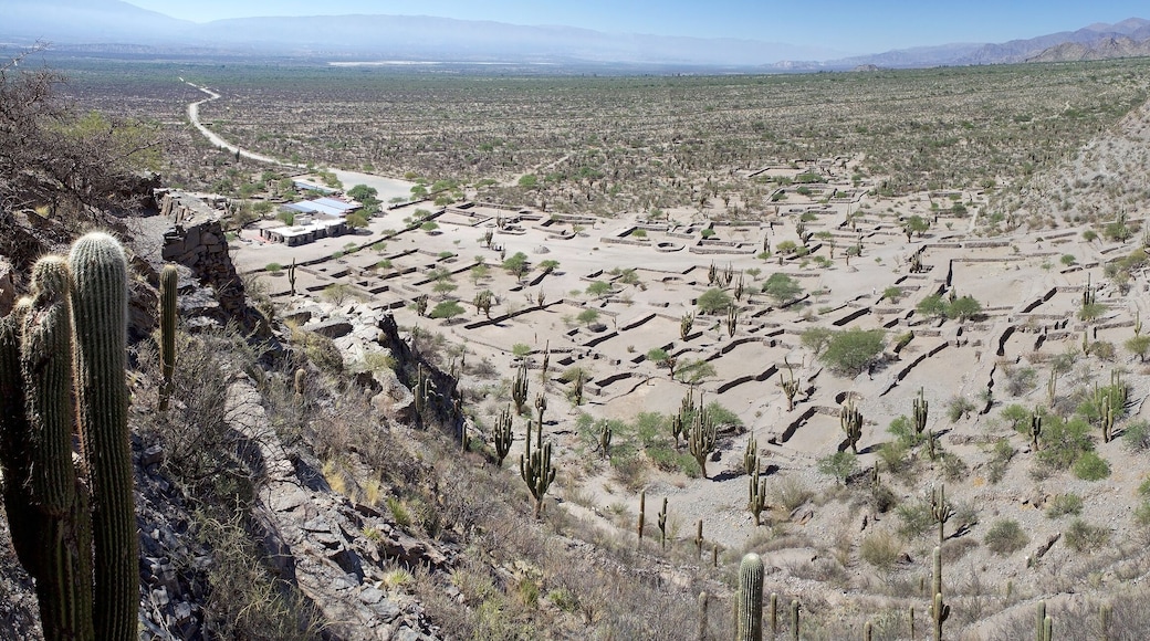Ruins of Quilmes in the Calchaqui Valleys, Tucuman Province, Argentina