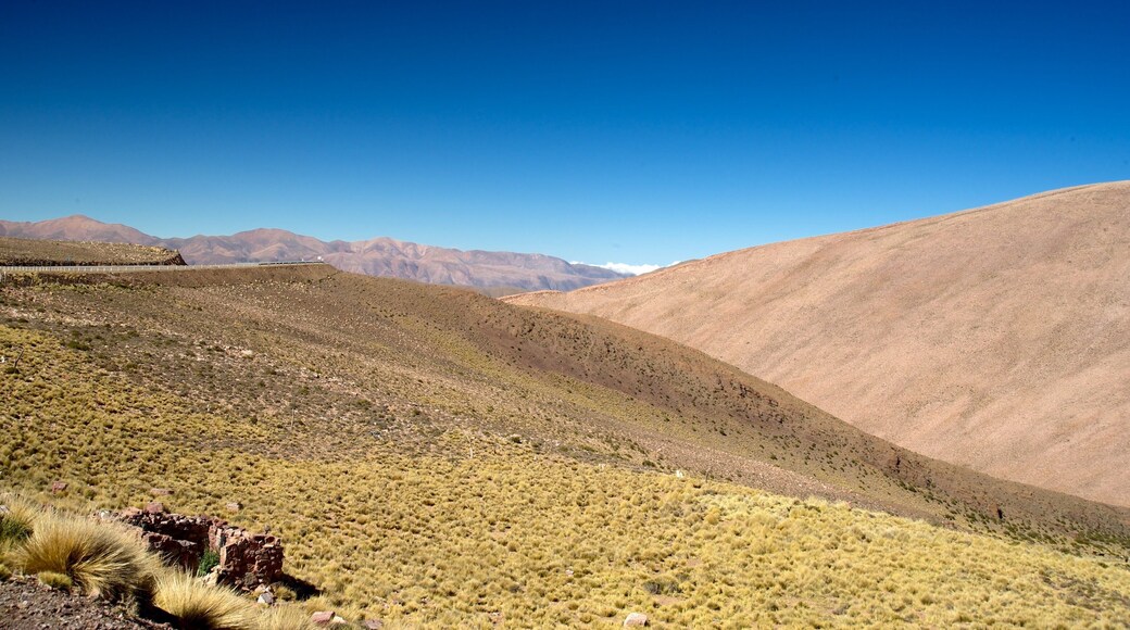 Jujuy which includes tranquil scenes, a gorge or canyon and landscape views