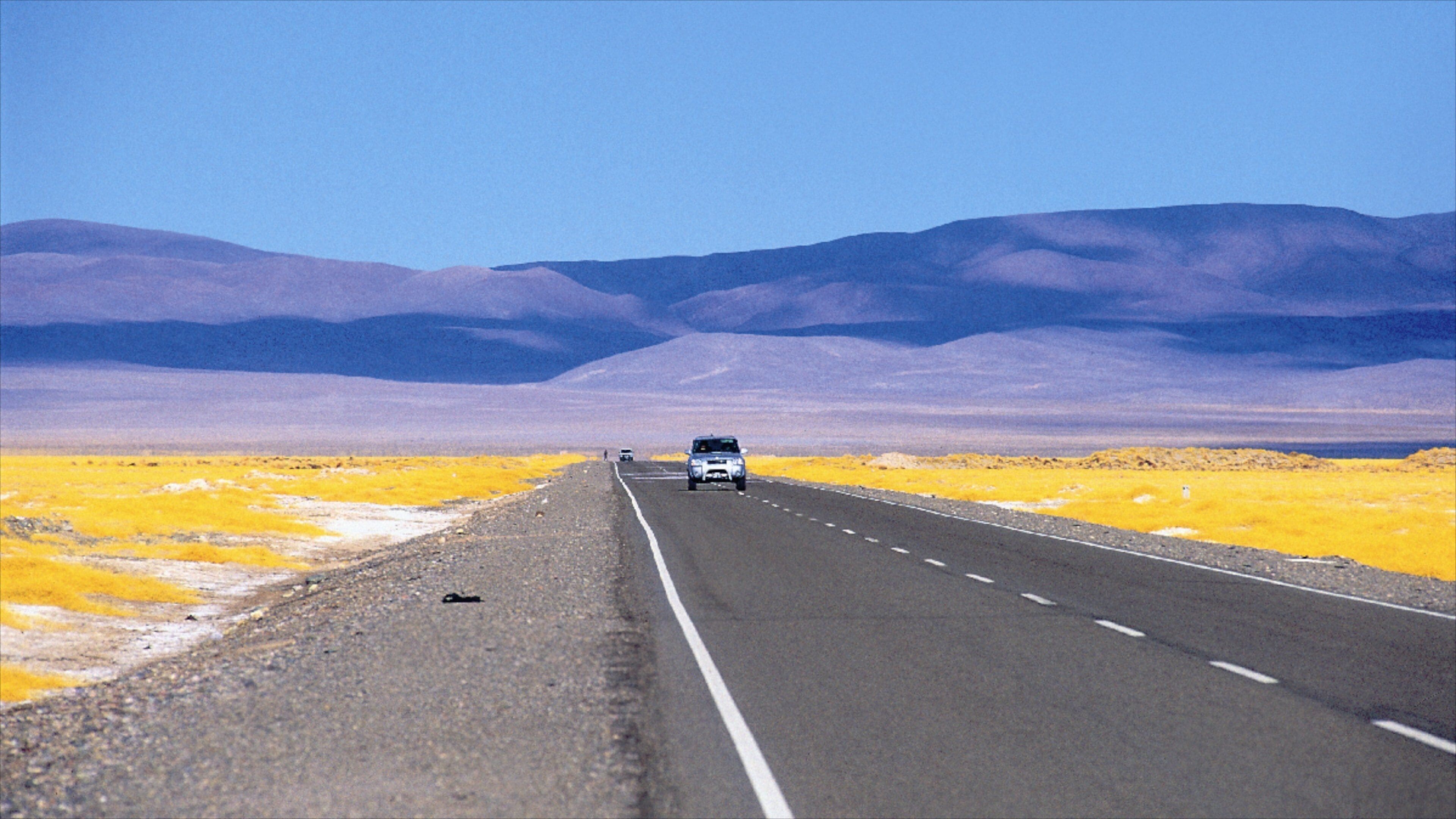 Jujuy Province featuring street scenes and wildflowers