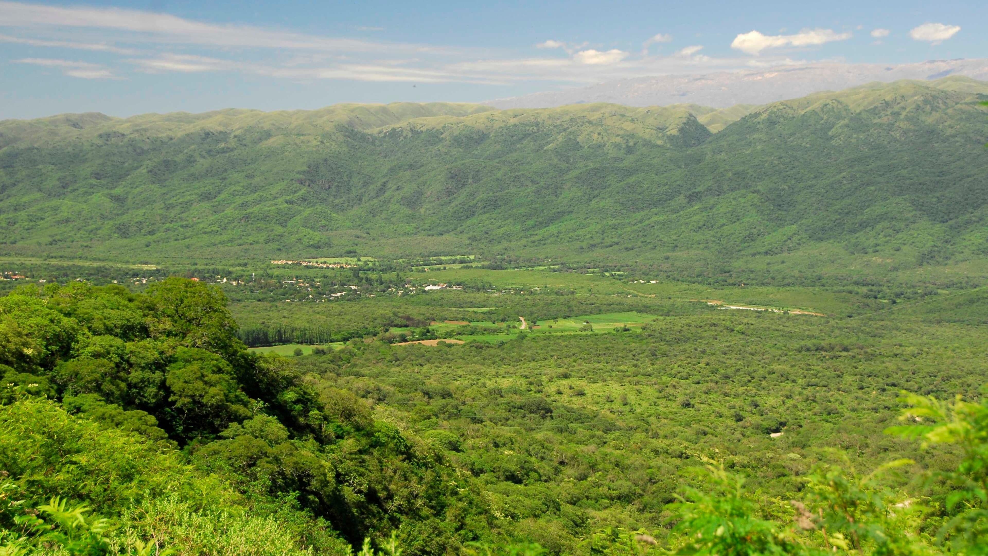 Catamarca Province featuring tranquil scenes and landscape views