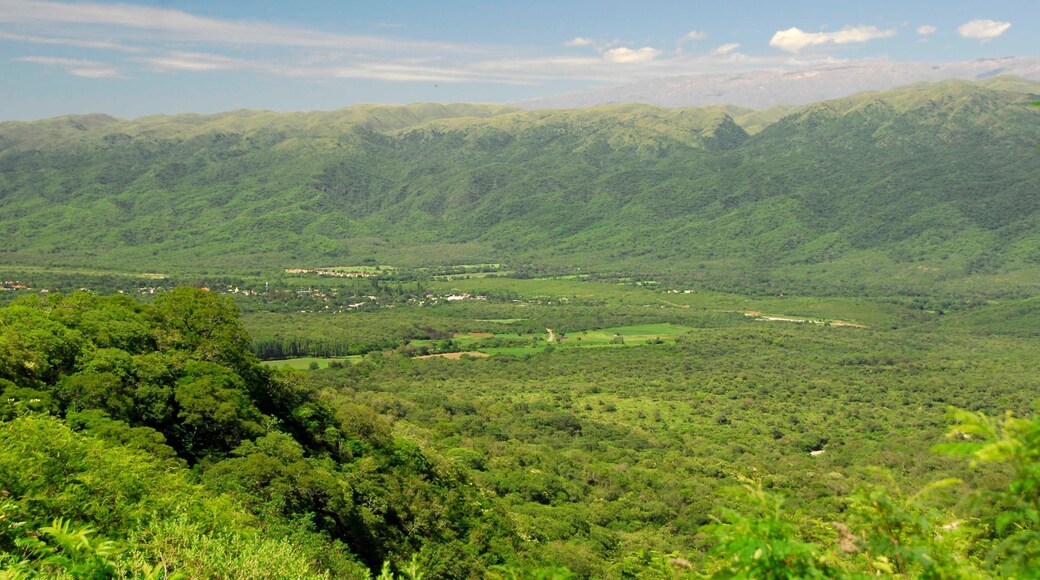 Catamarca Province featuring tranquil scenes and landscape views