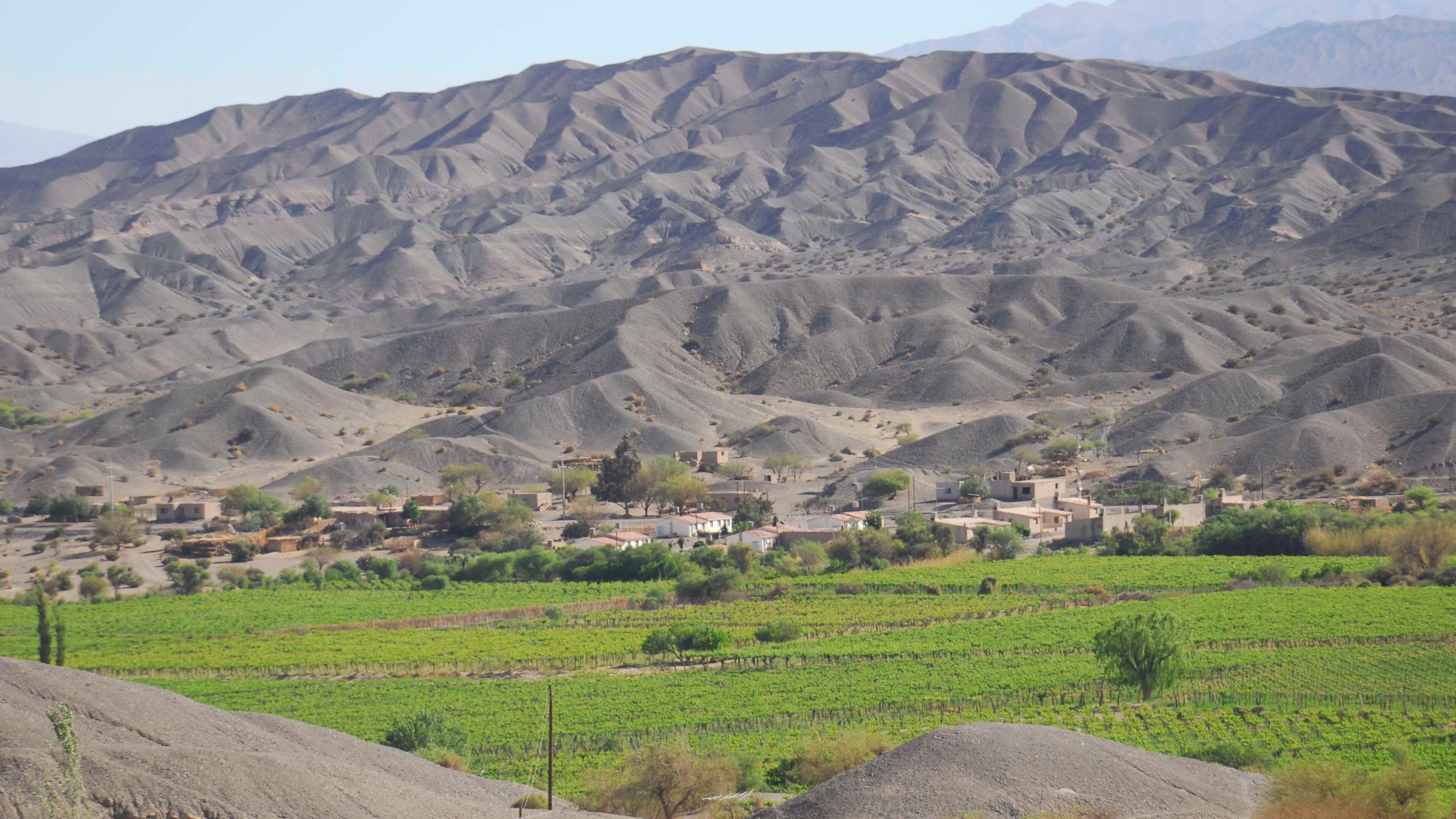 Catamarca showing mountains and landscape views