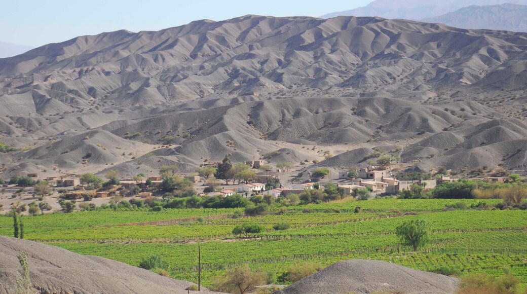 Catamarca showing mountains and landscape views