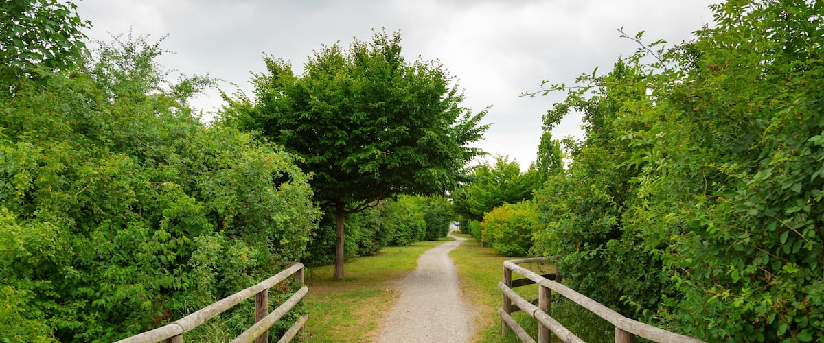 Bemerode showing a park