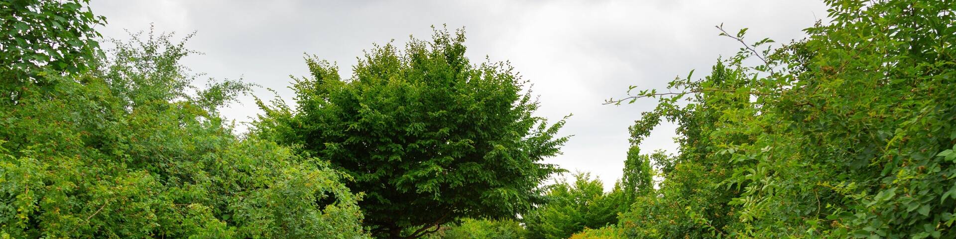 Bemerode showing a park