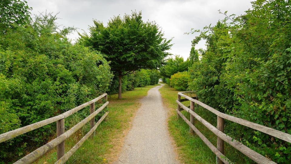 Un chemin de gravier bordé de clôtures en bois et d’une végétation luxuriante.