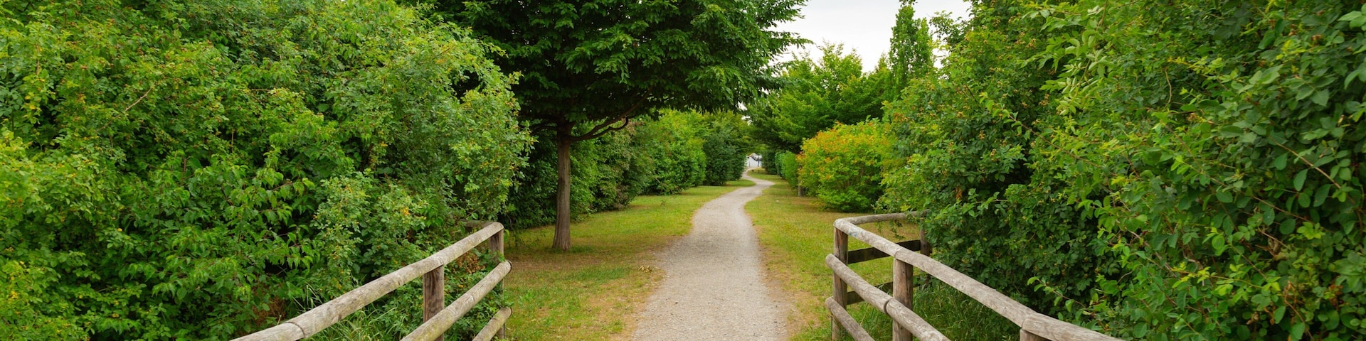 Bemerode showing a park
