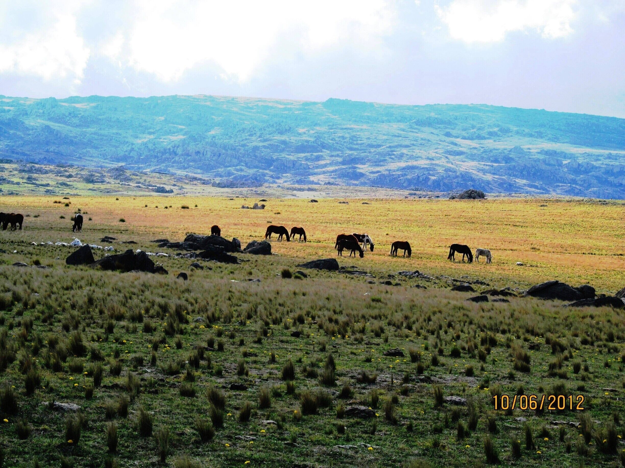 Climbing the hills near la Carolina, we found this scenery!