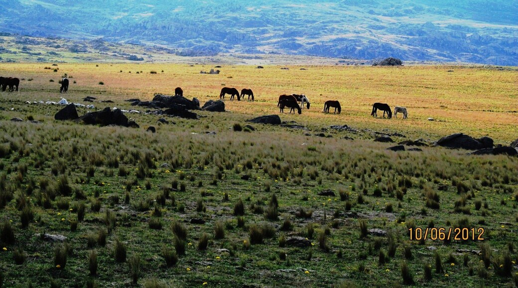 Climbing the hills near la Carolina, we found this scenery!