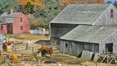 Uma quinta rural com muros de pedra, celeiros de madeira e uma vaca numa área cercada.