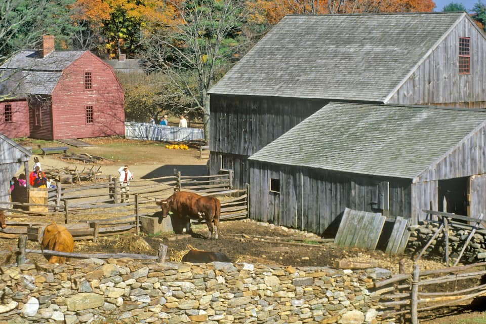 Una granja rural con muros de piedra, graneros de madera y una vaca en un área cercada.