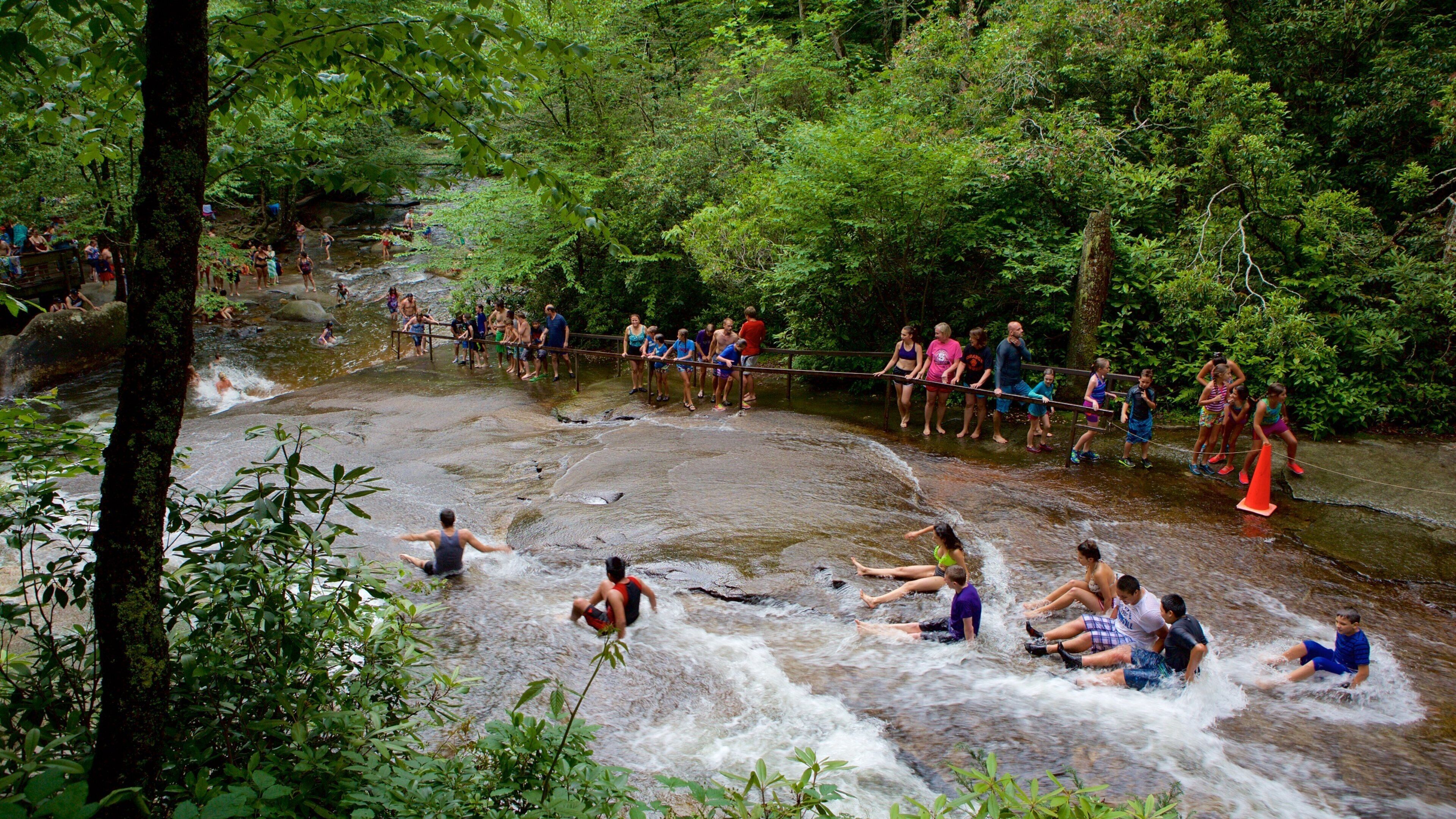 A group of people enjoying a river in a forested area.