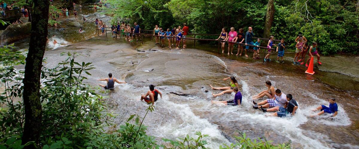 A group of people enjoying a river in a forested area.
