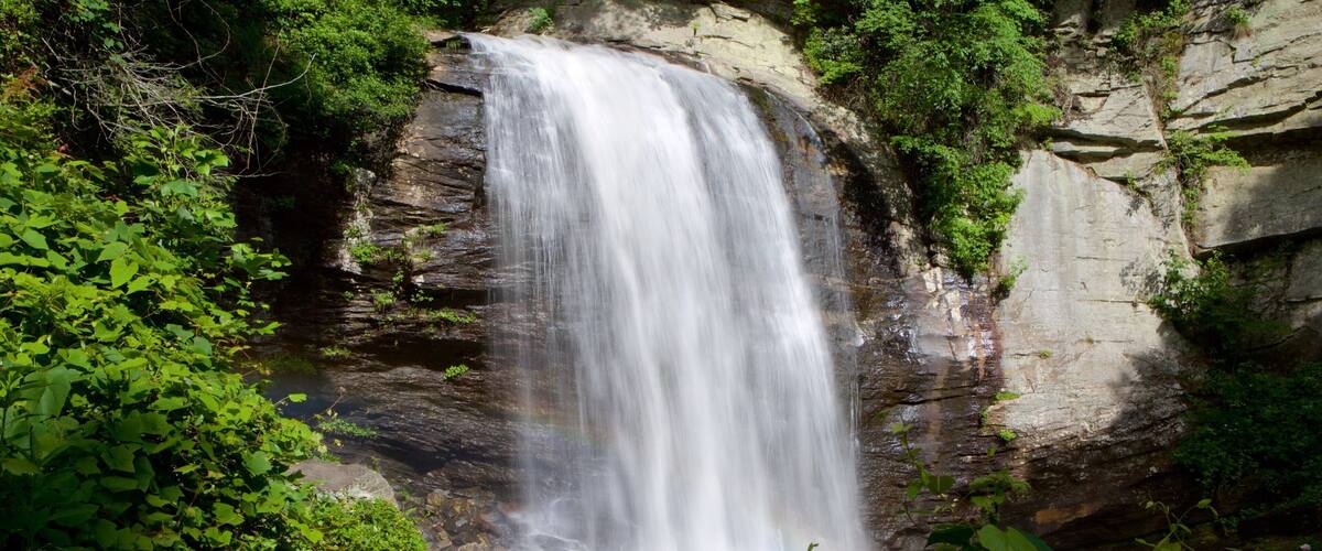 Pisgah Forest som viser skoglandskap og fossefall