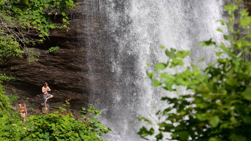 A waterfall cascading down a rocky cliff surrounded by lush greenery.