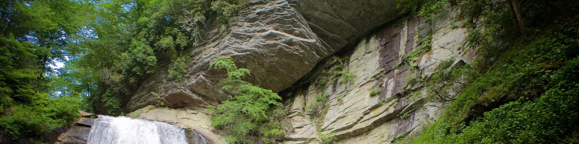 ピスガ フォレスト フィーチャー 河あるいは小川, スイミング と 段滝