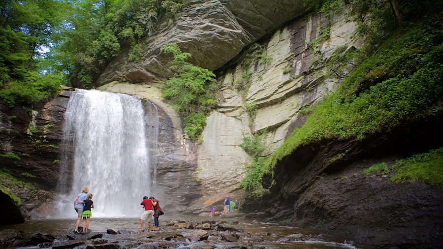Pisgah Forest featuring forests, a river or creek and a cascade