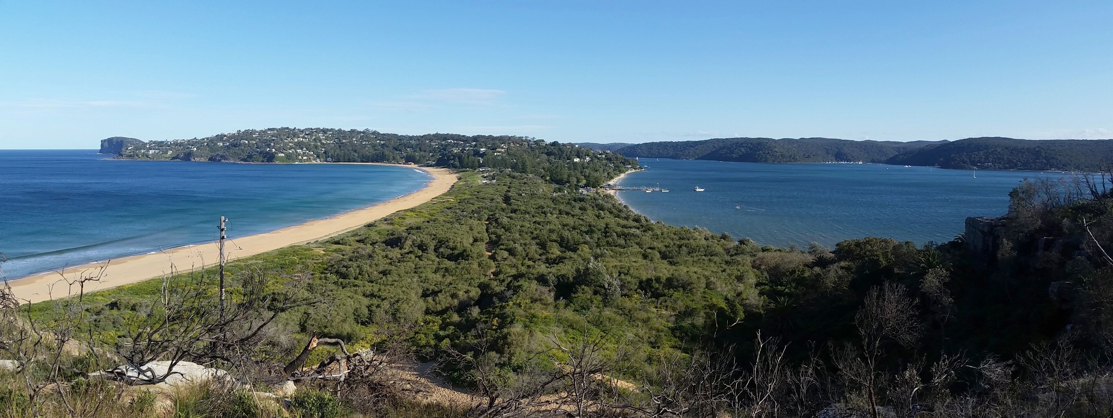 A coastal landscape with a sandy beach, dense green forest, and a distant hill with buildings.