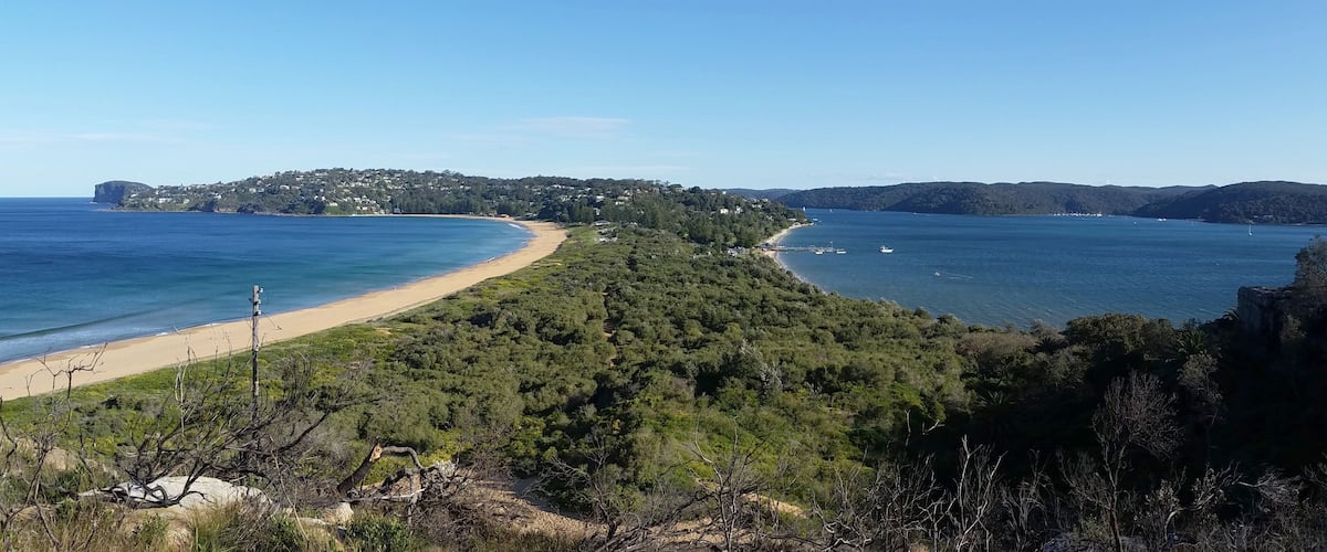 A coastal landscape with a sandy beach, dense green forest, and a distant hill with buildings.