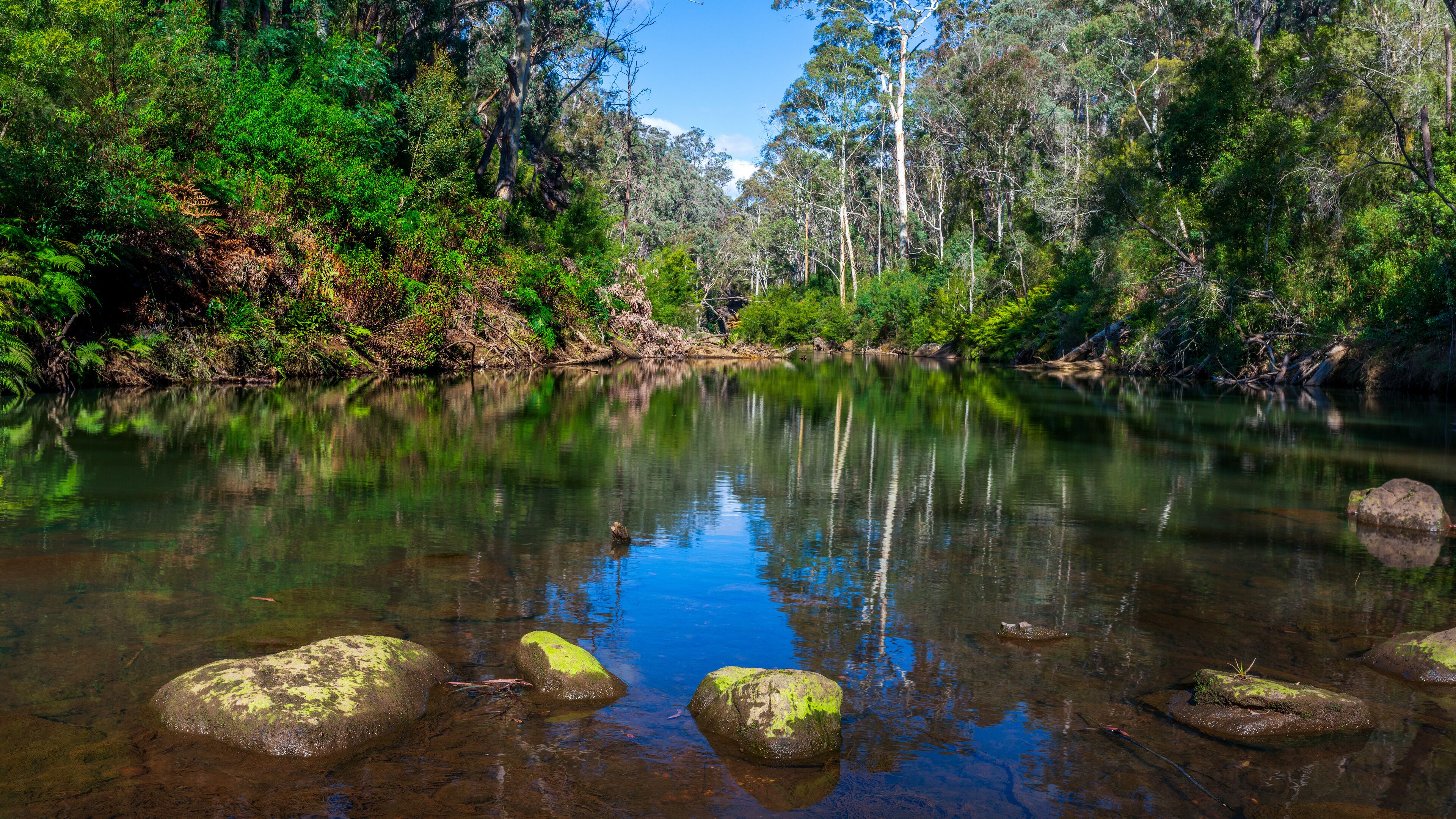 Bargo river trail walk, wollondilly NSW, Australia.