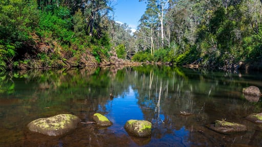 Bargo river trail walk, wollondilly NSW, Australia.