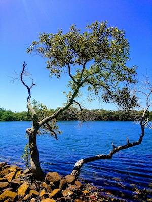 #mybackyard
Welcome to my little lunch spot I visit 5 times a week.  There is an abundance of wildlife which present themselves at times that suit them.  The view changes gradually and each day you find yourself in ore of the surroundings and feel you are refreshed and rejuvenated for just that 60 minutes of what I call a working vacation.  
Welcome to my work backyard.