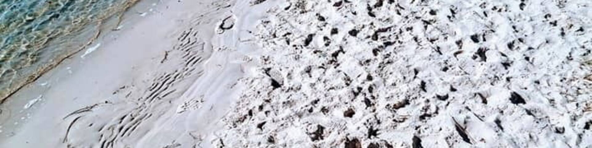 A 'private' little oasis. Not so private. It is a small little beach along the waterfront as you walk from the ferry down to the picnic areas and boat ramp. I call it my own little private beach where I find my 'peaceful' spot to stop and have my lunch during my working days.
The waterfront is a quiet idyllic spot to rest and have a bite to eat. The first stop on the train line into the Central Coast. It is surrounded by the water with amazing shared walking/bike path for both the locals and visitors to enjoy. A great little spot to put a line in the water and try your luck at catching a fish.