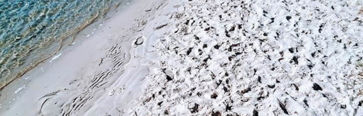 A 'private' little oasis. Not so private. It is a small little beach along the waterfront as you walk from the ferry down to the picnic areas and boat ramp. I call it my own little private beach where I find my 'peaceful' spot to stop and have my lunch during my working days.
The waterfront is a quiet idyllic spot to rest and have a bite to eat. The first stop on the train line into the Central Coast. It is surrounded by the water with amazing shared walking/bike path for both the locals and visitors to enjoy. A great little spot to put a line in the water and try your luck at catching a fish.