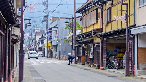 Hida Furukawa is a small town in the mountains of Gifu Prefecture, Japan. A small canal, named Seto River (Setogawa) and inhabited by many carps.